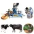 Single Bucket (25L) Milking Machine with 3HP Motor and 6.5HP Engine